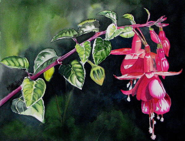 Flower Art Print featuring the painting Fuchsia by Maria Barry