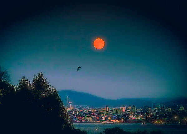 Istanbul Art Print featuring the photograph Full Red moon over Istanbul by Lilia S