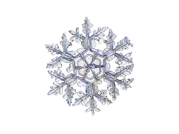 Snowflake Art Print featuring the photograph Gardener's dream, white version by Alexey Kljatov