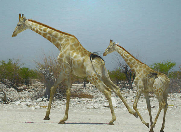 Africa Art Print featuring the digital art Giraffe Run by Ernest Echols