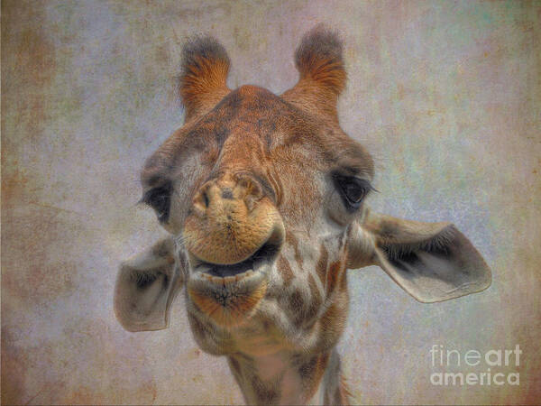 Giraffe Art Print featuring the photograph Giraffe by Savannah Gibbs