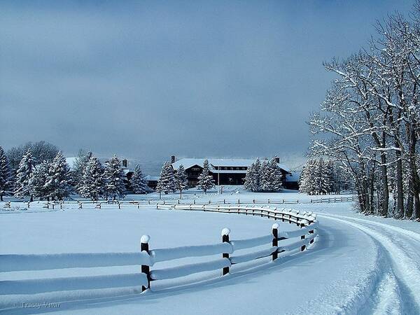 Glacier Park Lodge Art Print featuring the photograph Glacier Park Lodge, Winter View by Tracey Vivar