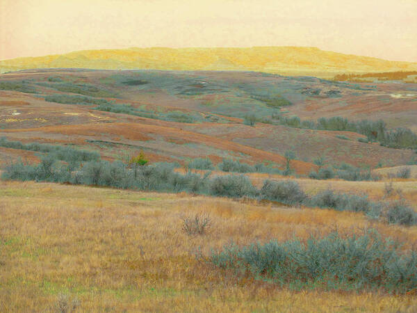 North Dakota Art Print featuring the photograph Golden Dakota Horizon Dream by Cris Fulton