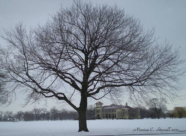 Buy Art Print featuring the photograph Graceful Tree and Belle Isle Eating Casino in Distance by Monica C Stovall