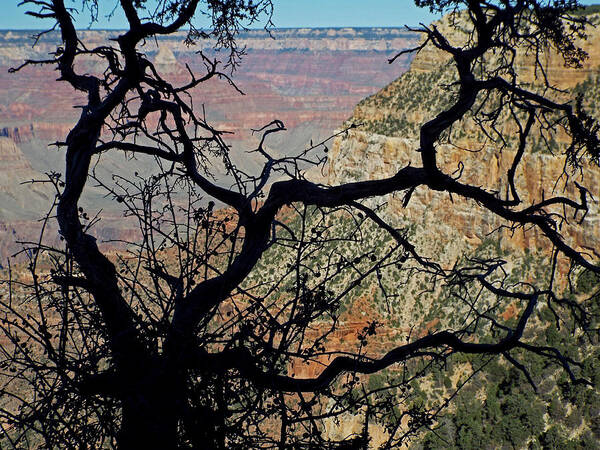  Art Print featuring the photograph Grand Canyon 8 by Steve Breslow