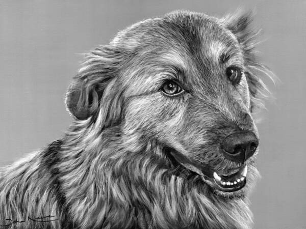 Dog Art Print featuring the painting Granddog Kuper by John Neeve