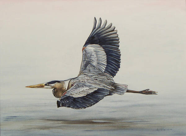 Great Blue Heron Art Print featuring the painting Great Blue Heron Flying by Laurie Tietjen