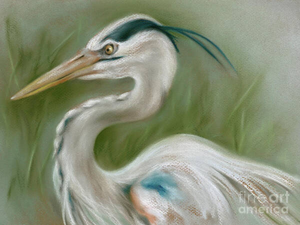 Bird Art Print featuring the painting Great Blue Heron by MM Anderson