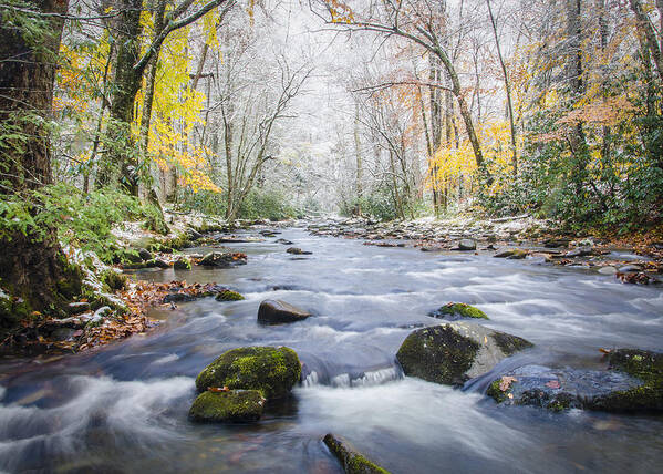 Water Art Print featuring the photograph Great Smoky Mountains National Park NC - Two Seasons In One Day by Robert Stephens