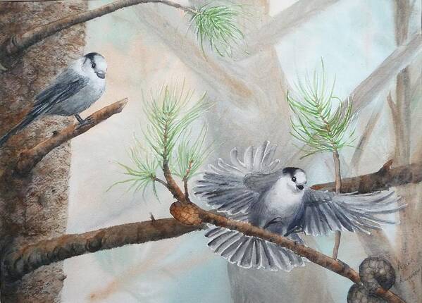 Grey Jay Art Print featuring the painting Grey Jays in a Jack Pine by Ruth Kamenev