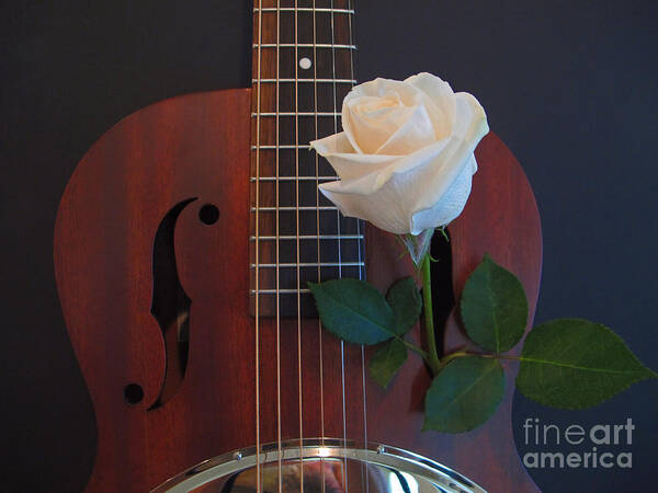 Wall Art Art Print featuring the photograph Guitar and Rose 2 by Kelly Holm