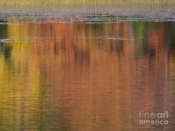 Waterscape Art Print featuring the photograph Hawkins Autumn Abstract 2015 by Lili Feinstein