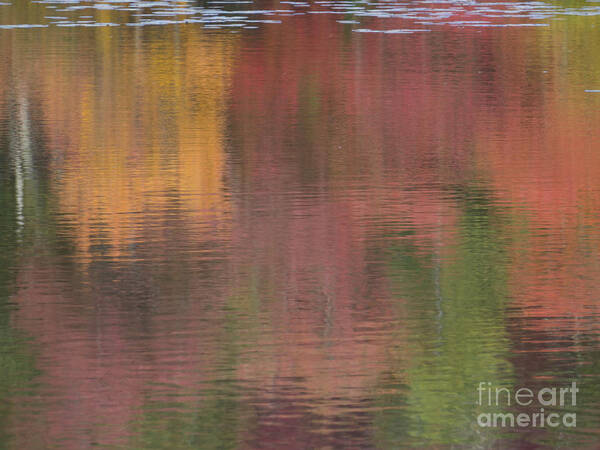 Waterscape Art Print featuring the photograph Hawkins Autumn Abstract II 2015 by Lili Feinstein