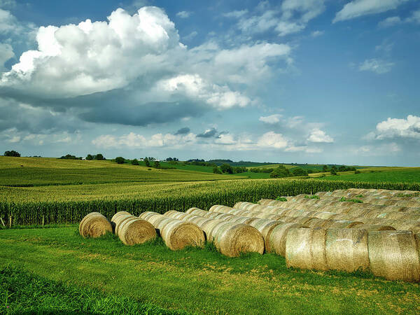 Johnson County Art Print featuring the photograph Hay and Corn in Iowa by Mountain Dreams