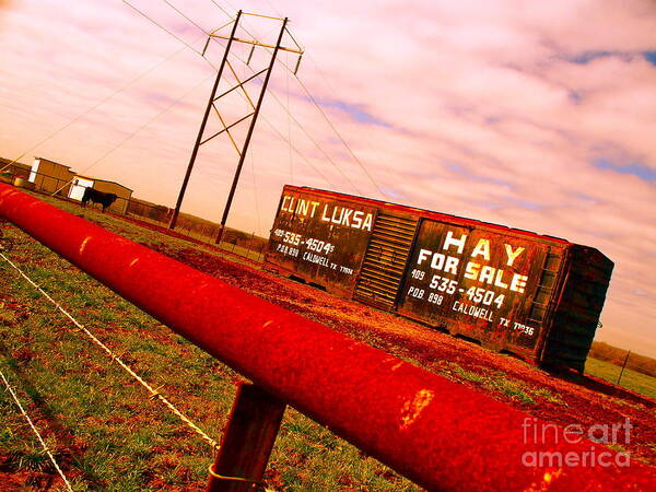Boxcar Art Print featuring the photograph Hay for Sale by Chuck Taylor