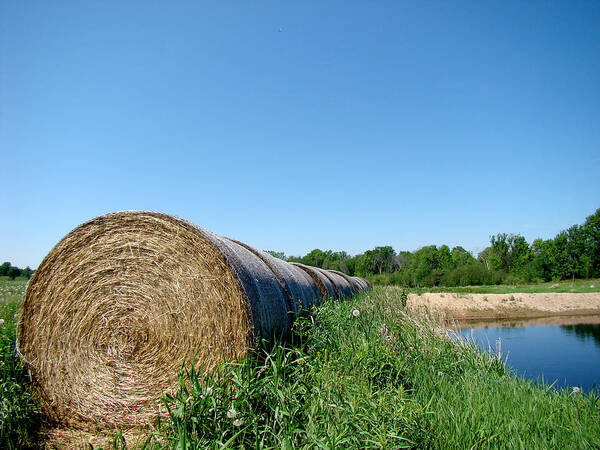 Landscape Art Print featuring the photograph Hay Roll by Todd Zabel
