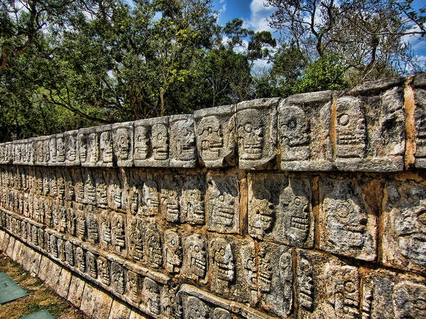 Wall Art Print featuring the photograph Head Talk by Douglas Barnard