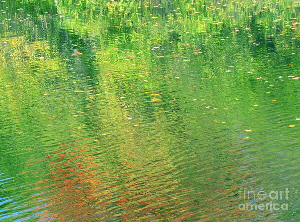 Water Art Print featuring the photograph Healing In All Forms by Sybil Staples