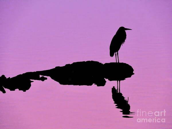 Heron Art Print featuring the photograph Heron Silhouette by Beth Myer Photography