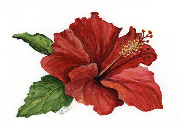 Hibiscus Art Print featuring the painting Hibiscus Flower by Darice Machel McGuire