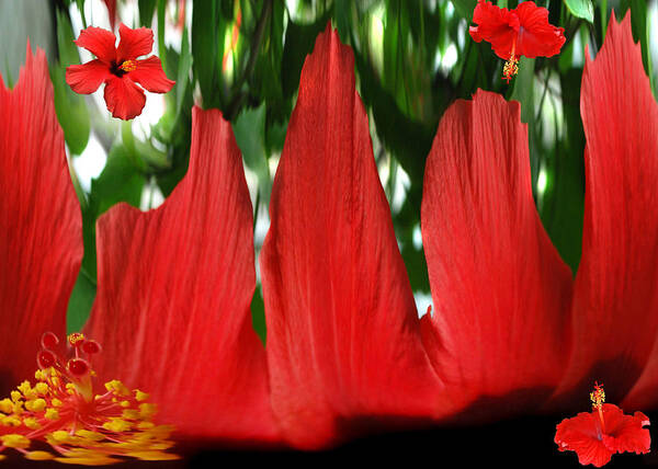 Digital Art. Hibiscus Art Print featuring the photograph Hibiscus Forest. by Terence Davis