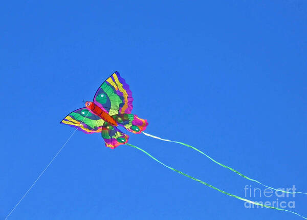Kite Art Print featuring the photograph High Flying Butterfly Kite by Ann Horn