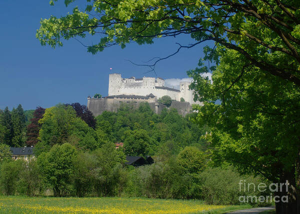 Europe Art Print featuring the photograph Hohensalzburg fortress Austria 4 by Rudi Prott