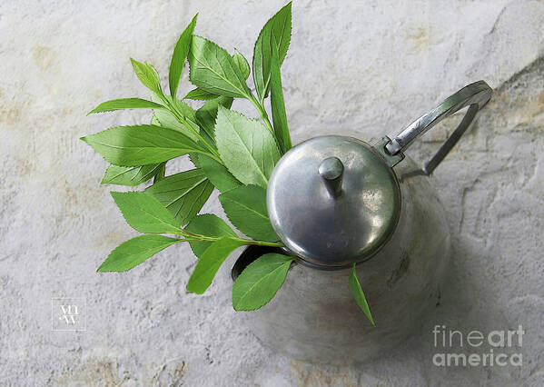 Pewter Pot Art Print featuring the photograph Hope by Yvonne Wright