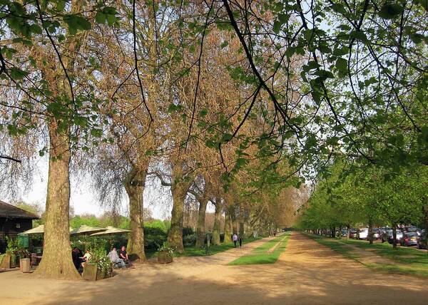London Art Print featuring the photograph Horse Path by David L Griffin