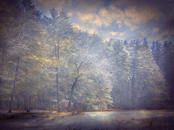 Winter Art Print featuring the photograph Howe State Park in Winter by Michele A Loftus