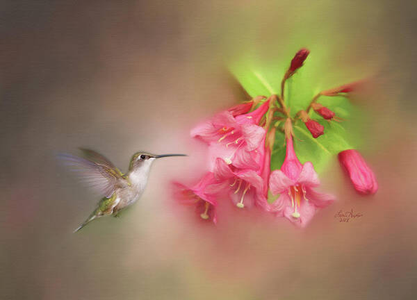 Hummer Art Print featuring the digital art Hummingbird With Flowers by Lena Auxier