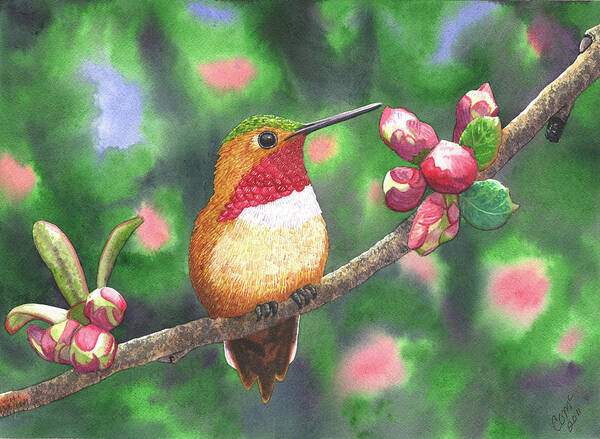 Hummingbird Art Print featuring the painting Hummy by Catherine G McElroy