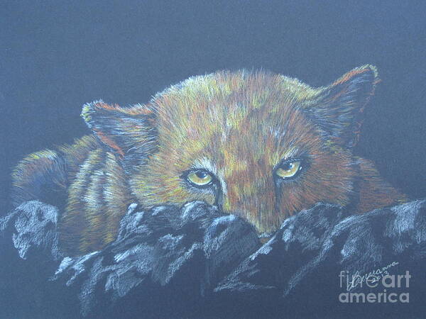 Mountain Lion Art Print featuring the drawing I See You by Laurianna Taylor