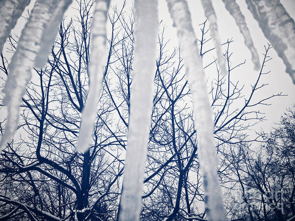 Columbus Art Print featuring the photograph Ice Bars by Robert Knight