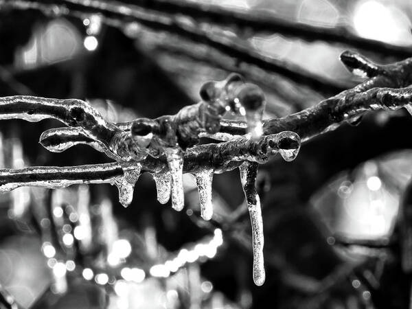 Icicles Art Print featuring the digital art Ice, Ice Baby by Kathleen Illes