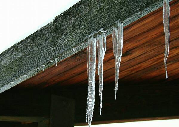  Art Print featuring the photograph Icicles by Brad Nellis