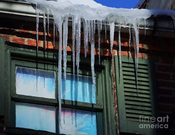 Icicles Art Print featuring the photograph Icicles by Poet's Eye
