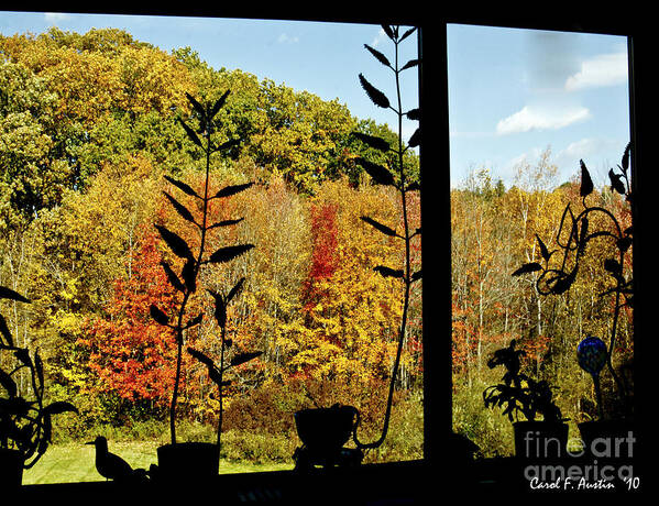 Fall Art Print featuring the photograph Inside Looking Outside at Fall Splendor by Carol F Austin