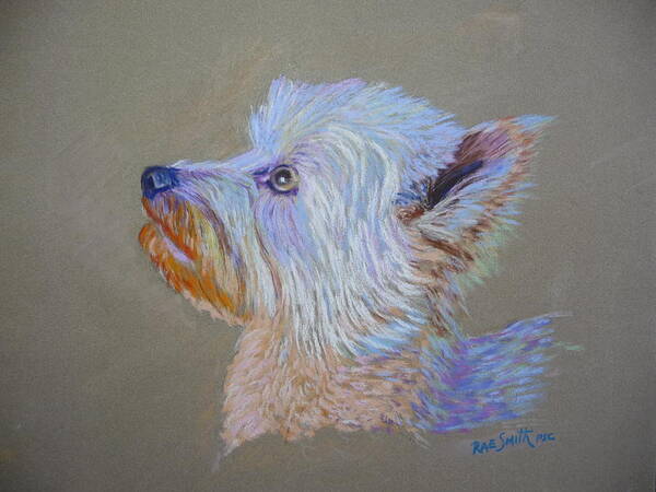 Dogs Art Print featuring the pastel Jack says can I by Rae Smith