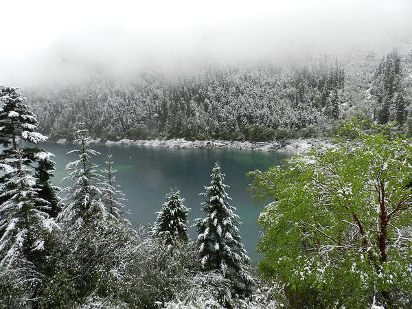 Jiuzhaigou National Park Art Print featuring the photograph Jiuzhaigou National Park, China by Breck Bartholomew