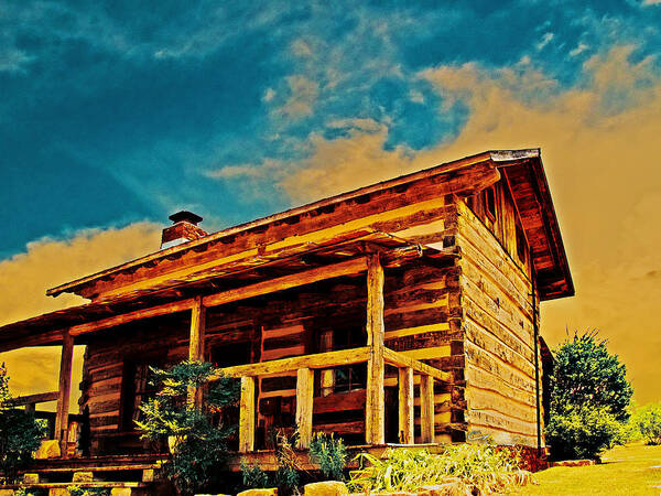 Log Art Print featuring the photograph JuJu's Cabin by Chas Sinklier