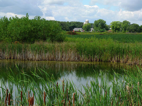 Pond Art Print featuring the photograph Just a Farm Scene by Scott Kingery