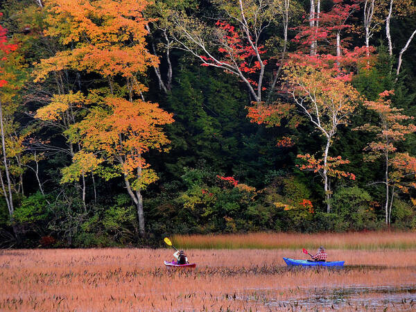 Kayak Art Print featuring the photograph Kayaking in Autumn by Nancy Griswold