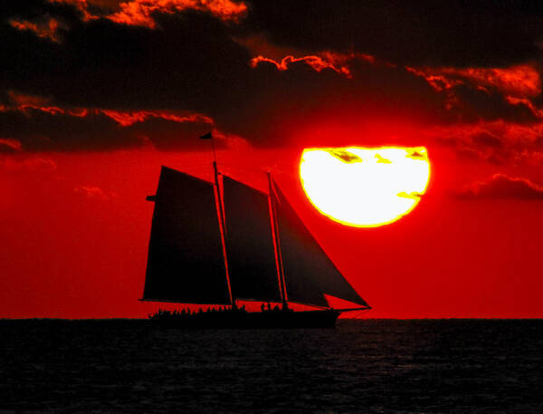 Orange Art Print featuring the photograph Key West Sunset Sail Silhouette by Bob Slitzan