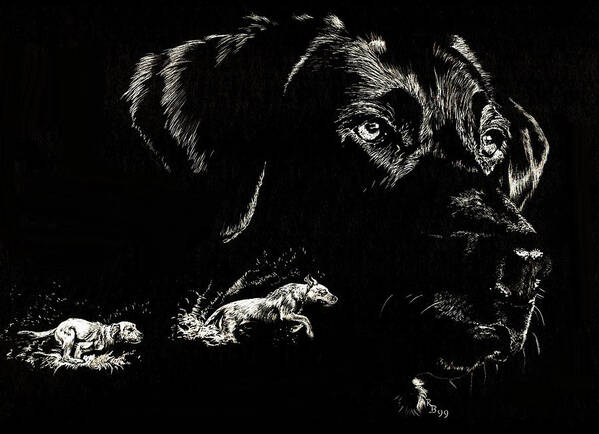 Labrador Retriever Art Print featuring the drawing Labs by Rachel Bochnia