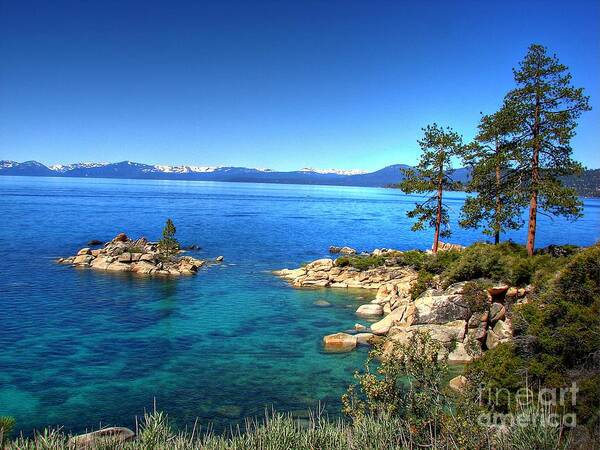 Lake Tahoe State Park Art Print featuring the photograph Lake Tahoe State Park Nevada by Scott McGuire