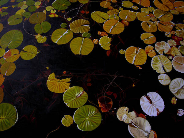 Water Art Print featuring the painting Lake Washington Lilypad 8 by Thu Nguyen