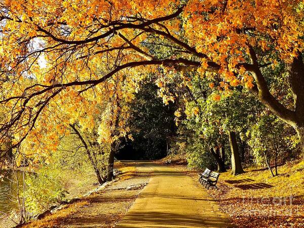 Path Art Print featuring the photograph Leafy Arch Over Path by Beth Myer Photography