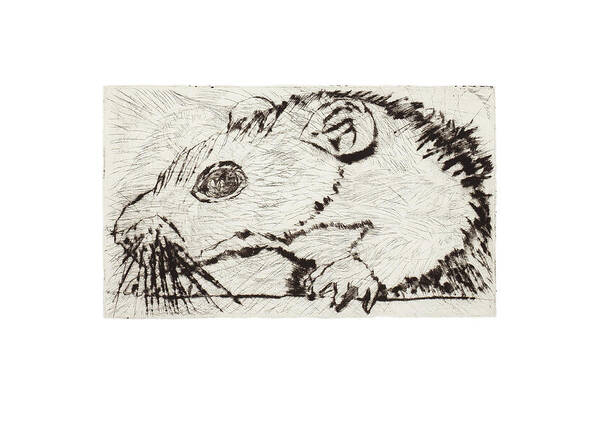  Art Print featuring the mixed media Learning to Love Rats More #4 by Dawn Boswell Burke