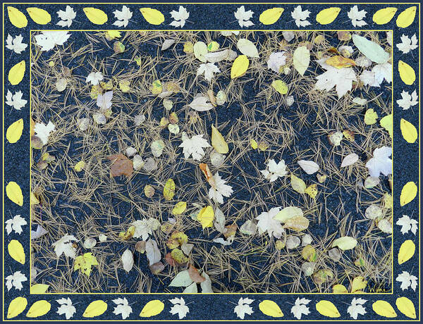 Lise Winne Art Print featuring the digital art Leaves and Needles on Pavement with Border by Lise Winne